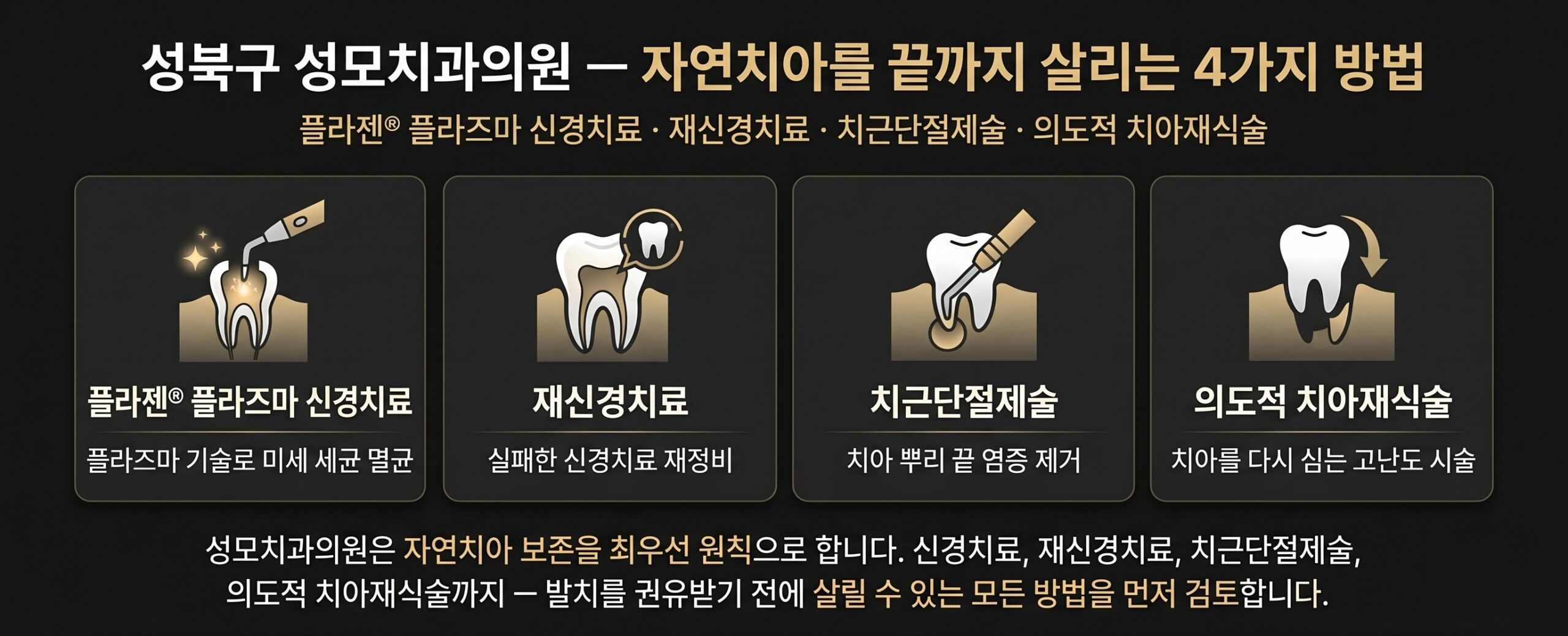 서울 성북구 성모치과의원 자연치아 살리기 — 플라젠 신경치료·치근단절제술·의도적 재식술