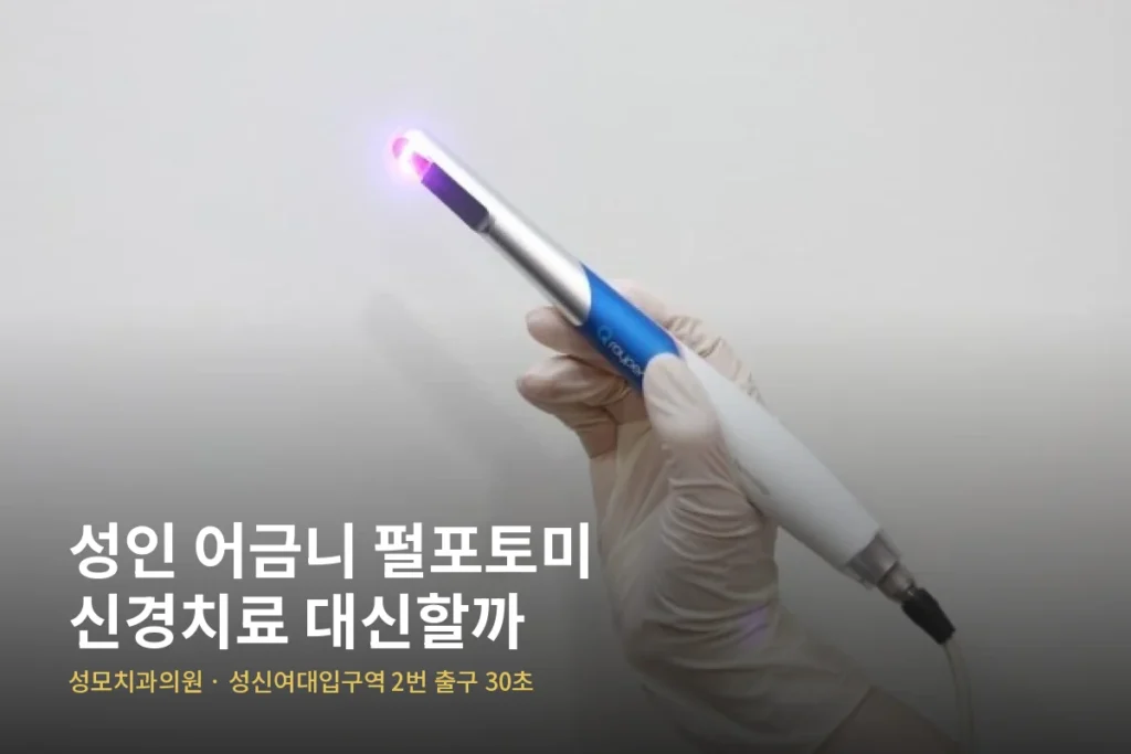 성모치과의원 펄포토미 원장 칼럼 — 성인 어금니 펄포토미